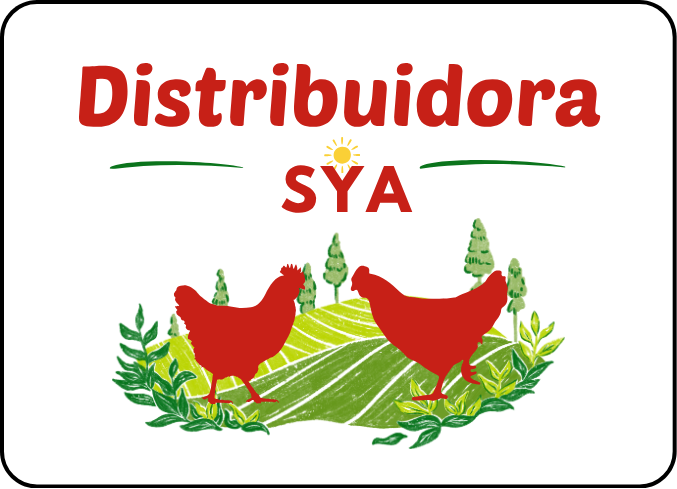 Distribuidora SyA